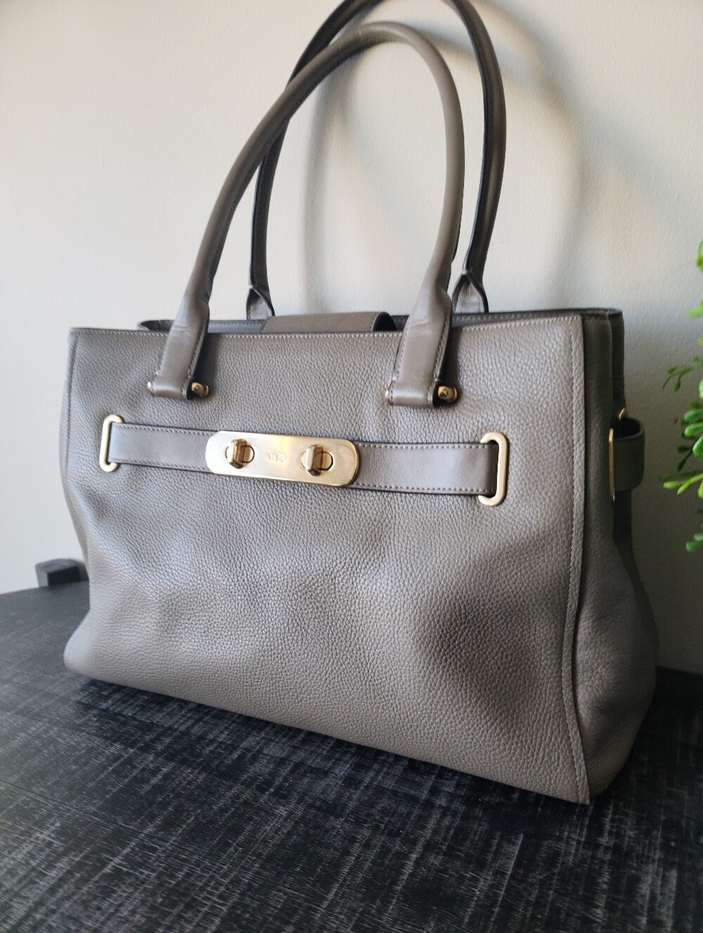 Coach Taupe Pebbled Leather Swagger Carryall Shoulder Bag #F36488 - Picture 3 of 12